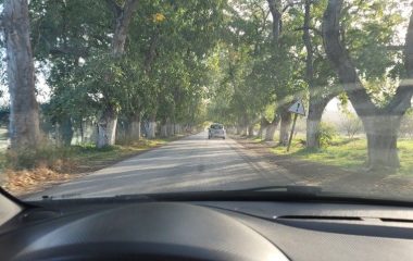 camino